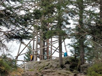 Trail Walking Gérardmer - Tour de Merelle et saut de la Bourrique - Photo