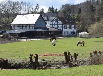 Randonnée A pied Niedert - Traumschleife Oberes Baybachtal - Photo