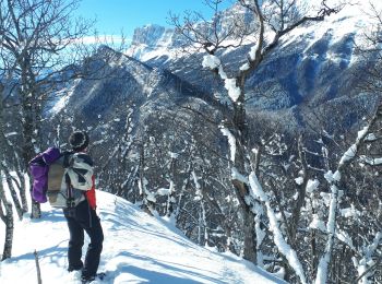 Excursión Senderismo Vif - Le Pieu en circuit au départ de Vif - Photo