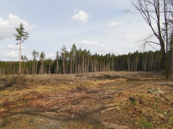 Randonnée A pied Radeberg - Dresden - Karswald - Photo