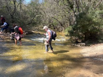 Trail sport Saint-Zacharie - Source de l’huveaune - Photo