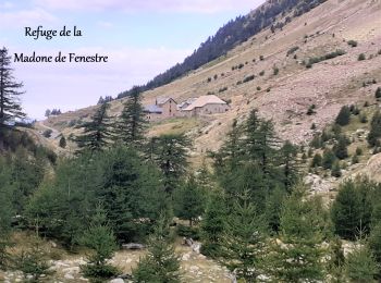 Randonnée Marche Saint-Martin-Vésubie - Boucle Les lacs de Prals par la cime de la Vallette - Photo