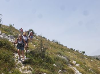 Tocht Stappen Andon - Les  Lys Pomponne de la montagne de Thiey - Photo