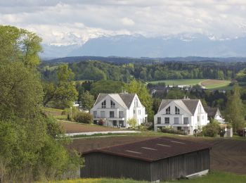 Tour Zu Fuß Nürensdorf - Oberwil - Brütten - Photo