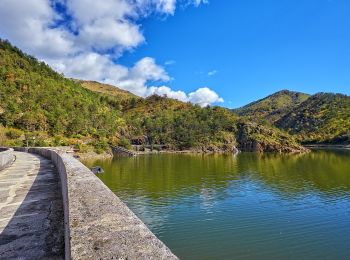 Excursión A pie Bosio - Sentiero Ponte Nespolo - Lago Bruno - Photo