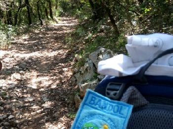 Trail Walking Signes - Le Latay R Bandol 2b - Photo