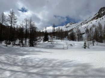 Randonnée Raquettes à neige Entraunes - Pointe du Génépi  - Photo