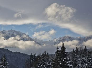 Randonnée A pied Azuga - Păstrăvărie Valea Azugii - sub Clăbucetul Azugii - Drumul lui Ceaușescu - Photo