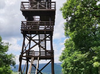 Trail Walking Trois-Ponts - Promenade vers la tour Leroux   - Photo