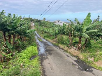 Tocht Trail Saint-Pierre - Bois d’Olives-Sentier La Corde(10K 180D+) - Photo