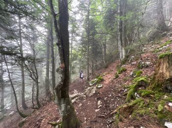 Trail Walking Saint-Pierre-de-Chartreuse - Circuit autour de Pravouta (Saint Hilaire du Touvet) - Photo