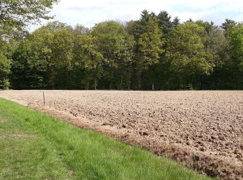 Tocht Stappen Saint-Étienne-du-Bois - Bény, étang de But, fôret Chareyziat - Photo