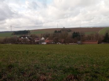 Excursión A pie Adelsheim - Rundwanderweg Wemmershof 2: Grenzwall-Weg - Photo