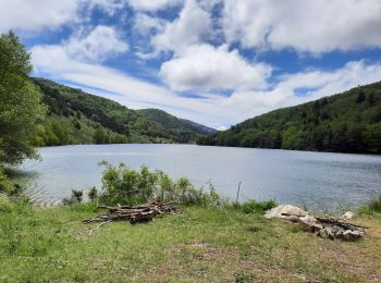 Percorso Marcia Le Saix - lac Peyssier - Photo