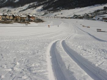 Excursión A pie Valdidentro - (SI D33N) Rifugio Val Viola - Livigno - Photo