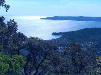 Tour Wandern Le Lavandou - Rando Les Balcons de Cavalière - Photo