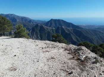 Randonnée Marche Cómpeta - A dessus de Competa 2019 - Photo