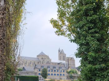 Tour Wandern Cancale - Étape N°12 Cancale Dol-de-Bretagne  - Photo