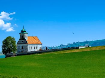 Randonnée A pied Salaš - CZ-green hiking - Photo