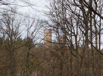 Tour Wandern Andlau - Andlau - château d'Andlau - château du Spesbourg - Photo