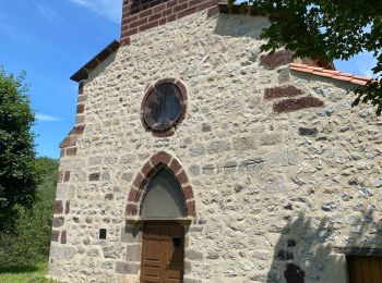 Tocht Stappen Prades - Prades - Photo