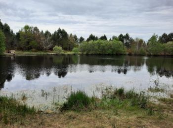 Trail Walking Saint-Médard-en-Jalles - issac - Photo