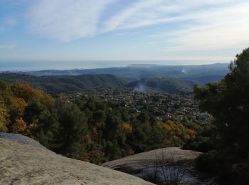 Tocht Stappen Tourrettes-sur-Loup - Puy de Naouri  - Photo