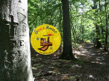Percorso Marcia Coye-la-Forêt - SM_COYE la FORET_7.9Km - Photo