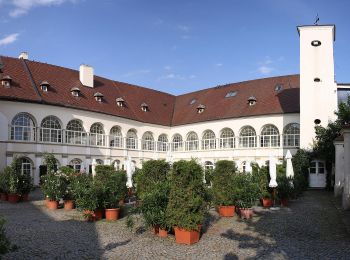 Percorso A piedi Gemeinde Katzelsdorf - Katzelsdorfer Naturlehrpfad LEITHA-AU - Photo