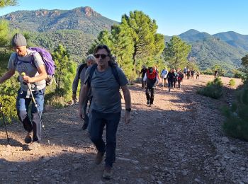 Tour Wandern Fréjus - Malpey avec pierre le 15/11/2024 - Photo