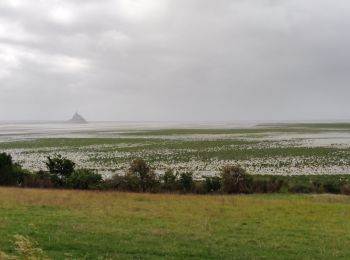 Randonnée Marche Genêts - belvédère sur le Mont Saint Michel de Genets au Groin sud - Photo