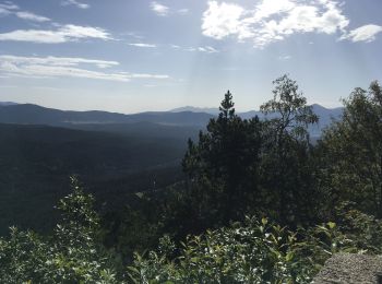 Randonnée Marche Font-Romeu-Odeillo-Via - Le Col del Pam - Photo