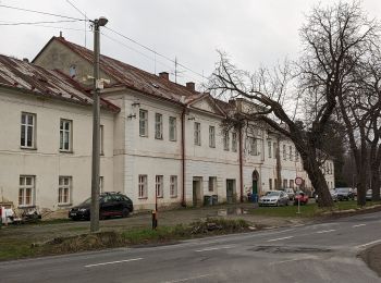 Excursión A pie Město Albrechtice - Vycházková stezka Dubí - Photo