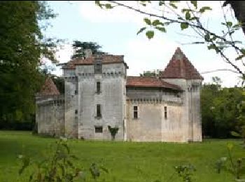 Tour Wandern Cornille - Boucle de Cornille - Photo