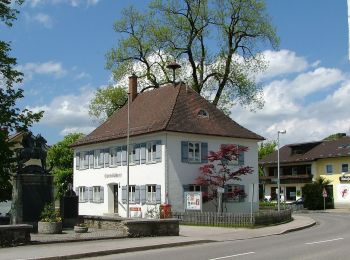 Excursión A pie Sulzberg - Rundwanderweg Sulzberg 3 - Photo