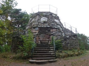 Randonnée A pied Bad Dürkheim - Forsthaus Weilach Rundwanderweg 6 - Photo