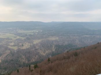 Tour Wandern Longchaumois - Longchaumois Belvédère  - Photo