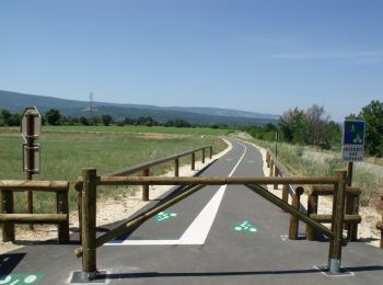 Excursión Bici de montaña Cavaillon - Foret des cêdres D+850m par veloroute Calavon - Photo