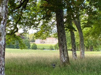 Trail Walking Sauternes - Châteaux de Sauternes - Photo