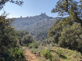 Randonnée Marche Grimaud - grimaud pont des fées et mont roux - Photo