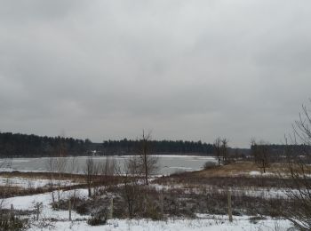 Randonnée Marche Tessenderlo - Averbode Bos en Heide 1 - Photo