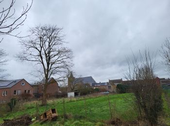 Tocht Stappen Wanze - Antheit 070125 - Photo