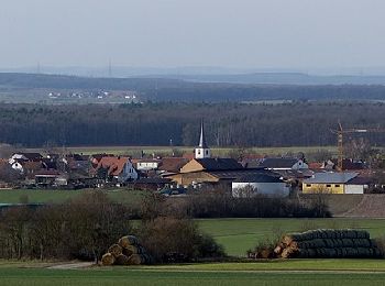 Excursión A pie Prichsenstadt - Rundwanderweg Hase - Photo