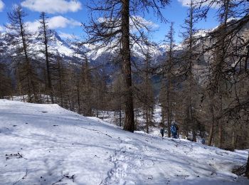 Tour Schneeschuhwandern Puy-Saint-Vincent - les têtes 18 03 2021 - Photo