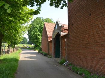 Randonnée A pied Beringen - Paal Gele zeshoek - Photo