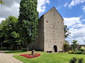 Excursión A pie Rothenburg ob der Tauber - Rothenburger W3 - Kleiner Taubertalweg - Photo