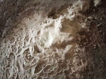 Trail Walking Orgnac-l'Aven - dolmens et Baume de ronze - Photo