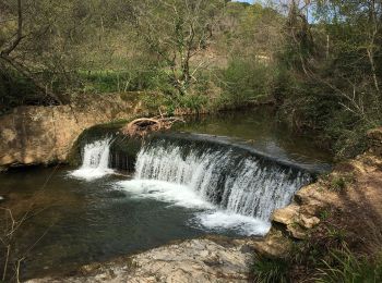 Excursión Senderismo Pierrefeu-du-Var - La portanière   Le Fedon      - Photo