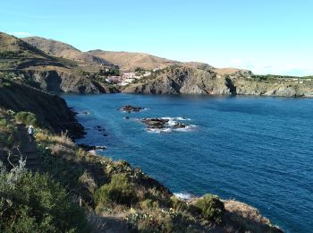 Randonnée Marche Banyuls-sur-Mer - Banyuls Cerbère  - Photo