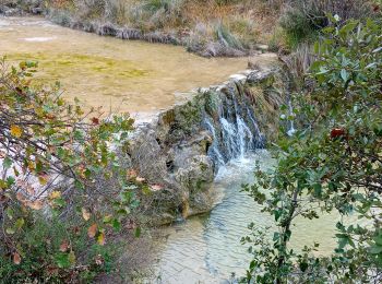 Tour Wandern Ferrières-les-Verreries - Le mas de la Baume Ferriere les verreries - Photo